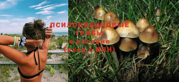 тгк Бородино