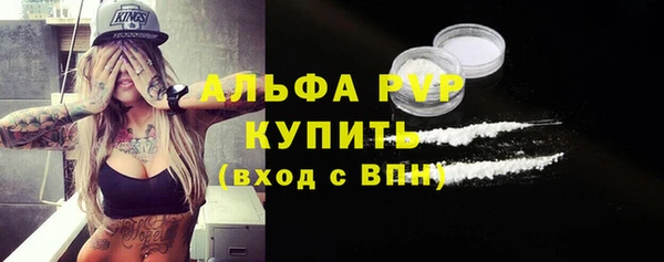 тгк Бородино