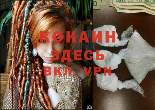 тгк Бородино