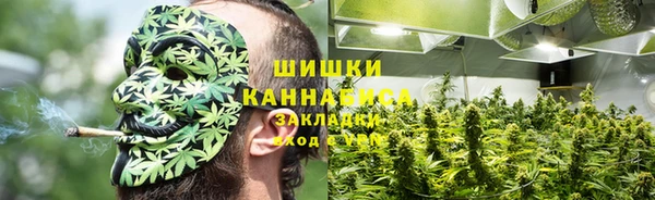 тгк Бородино