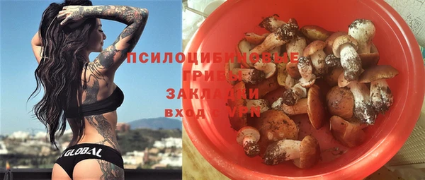 герыч Бронницы
