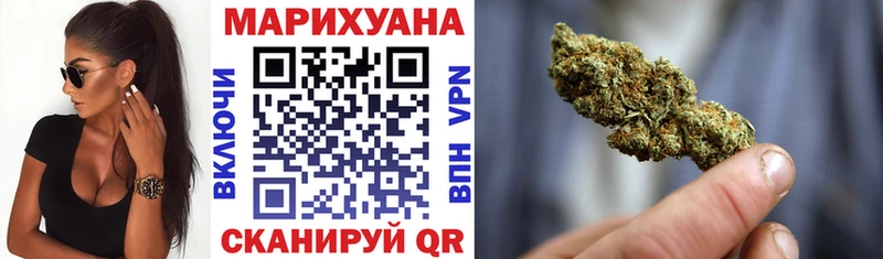 Конопля сатива  Симферополь 